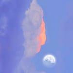 Juana Villaseñor avatar